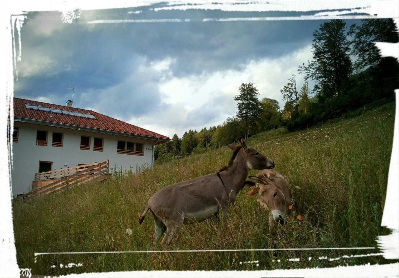 Agriturismo Maso Pertener -Adults Friendly- كومانو تيرمي المظهر الخارجي الصورة