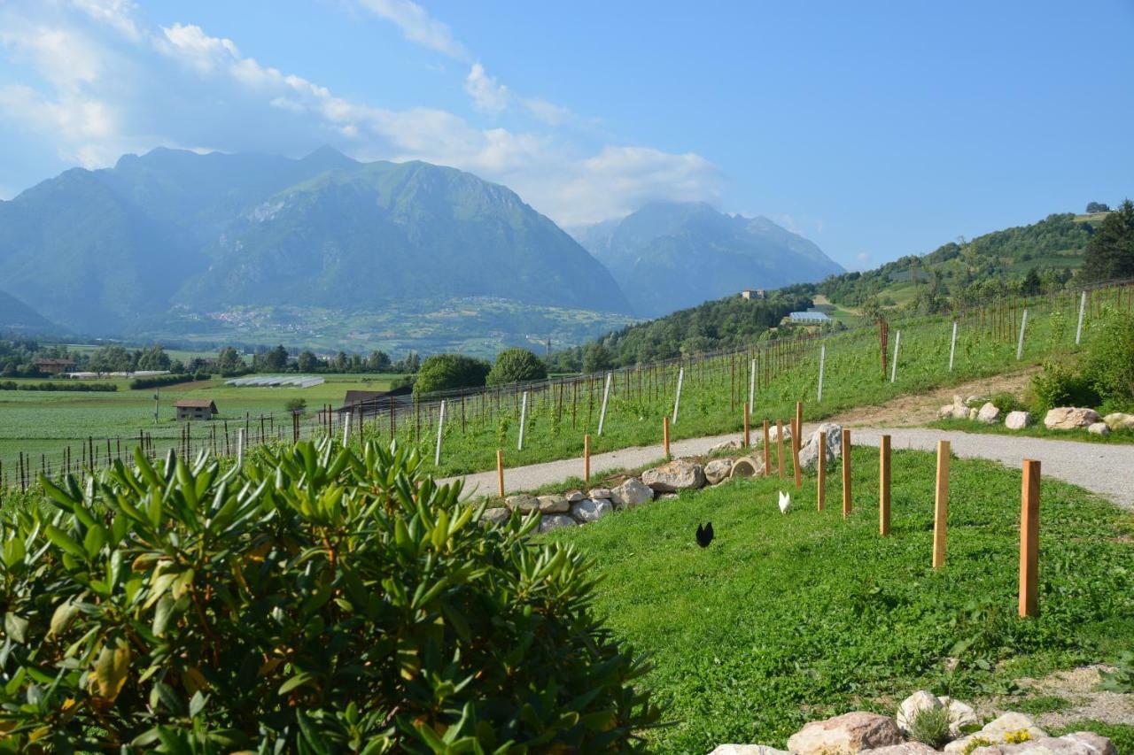 Agriturismo Maso Pertener -Adults Friendly- كومانو تيرمي المظهر الخارجي الصورة