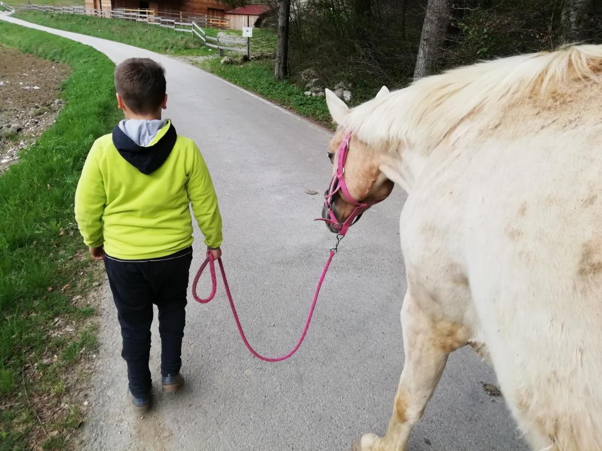 Agriturismo Maso Pertener -Adults Friendly- كومانو تيرمي المظهر الخارجي الصورة