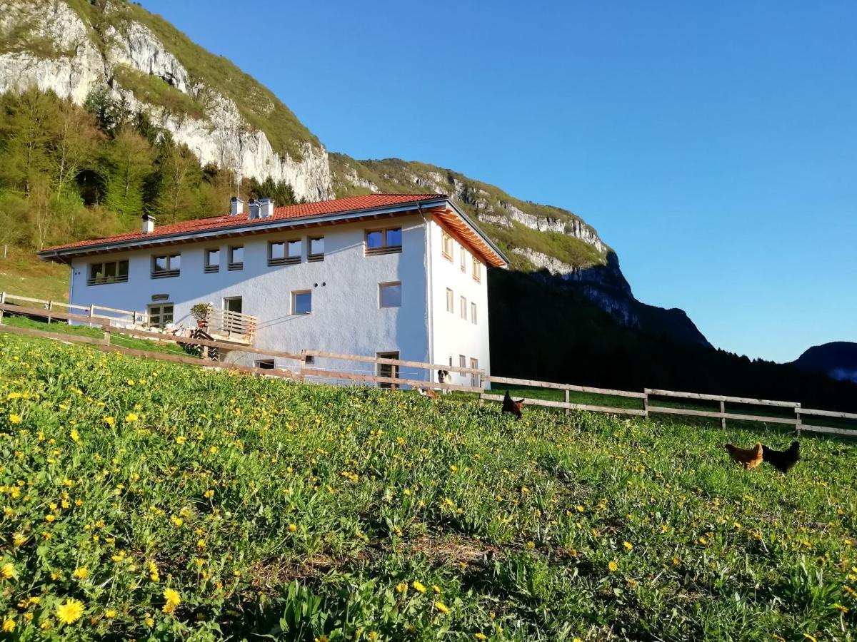 Agriturismo Maso Pertener -Adults Friendly- كومانو تيرمي المظهر الخارجي الصورة
